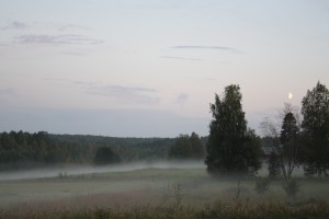 Blåsmarken